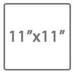 11x11